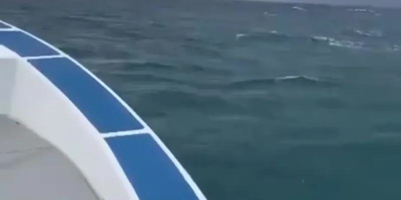 Miniatura del video