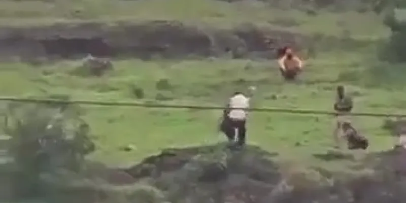 Miniatura del video