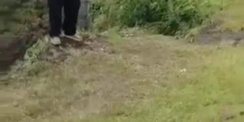 Miniatura del video