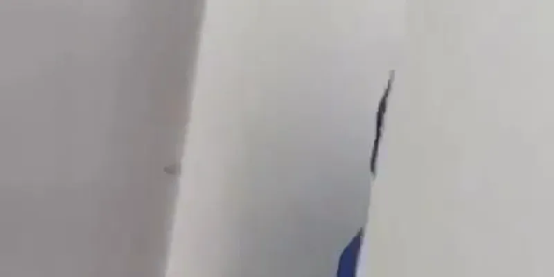 Miniatura del video