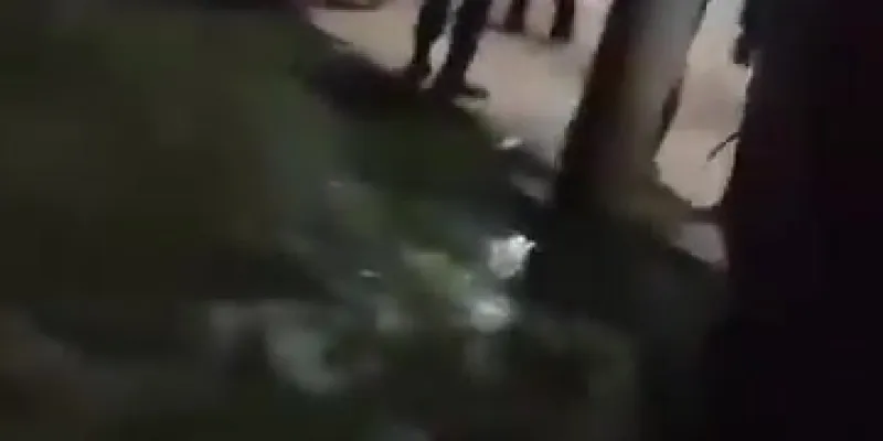 Miniatura del video